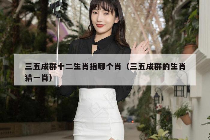 三五成群十二生肖指哪个肖（三五成群的生肖猜一肖）