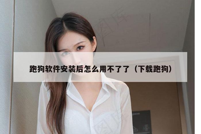 跑狗软件安装后怎么用不了了（下载跑狗）