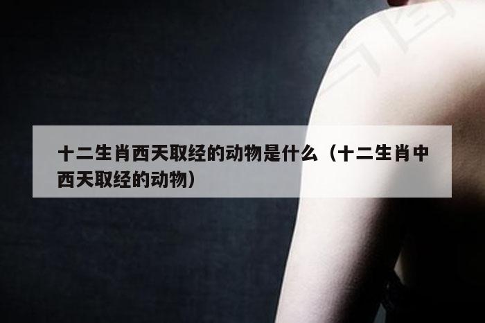 十二生肖西天取经的动物是什么（十二生肖中西天取经的动物）